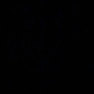 Meet your Posher, Adrian